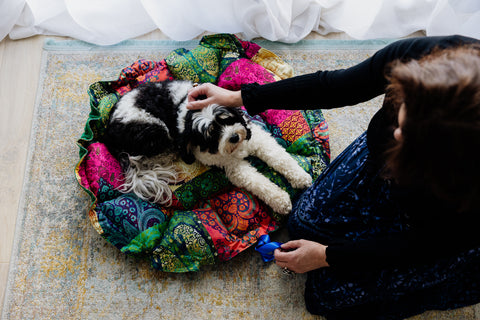 Pure Australian Wool Pet Beds Handmade in Sydney Australia