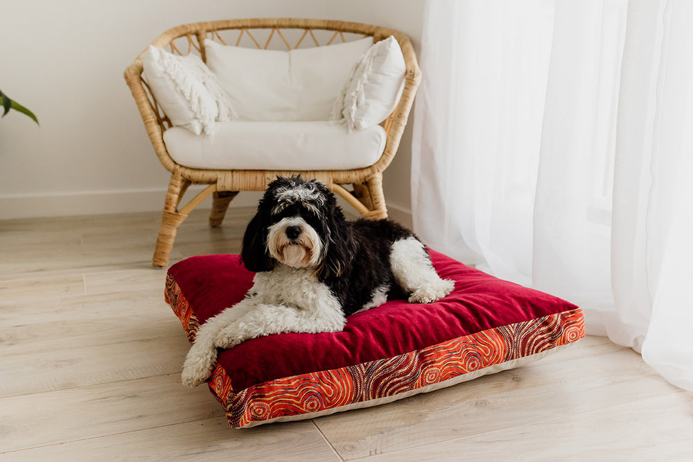 Mariska Ruby Red Velvet & Cotton Canvas Pet Cushion | Mina Dreaming | 100% Bio Degradable Fabrics