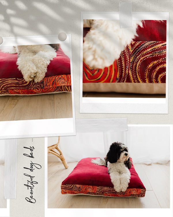 Mariska Ruby Red Velvet & Cotton Canvas Pet Cushion | Mina Dreaming | 100% Bio Degradable Fabrics