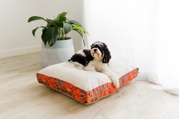 Mariska Cream Velvet & Cotton Canvas Pet Cushion | Mina Dreaming | 100% Bio Degradable Fabrics