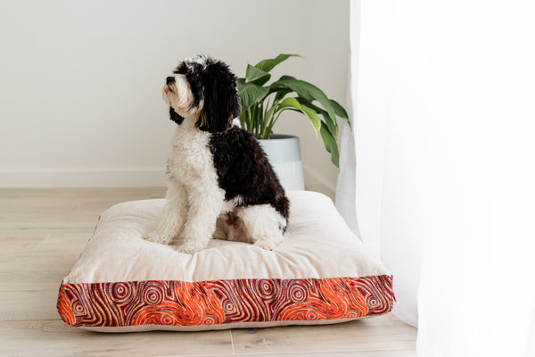 Mariska Cream Velvet & Cotton Canvas Pet Cushion | Mina Dreaming | 100% Bio Degradable Fabrics