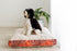 products/Mariska_2ProductShootNov2021.jpg